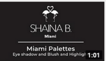 INTRODUCING: New Miami Eye shadow Palette and the Blush and Highlight Palette