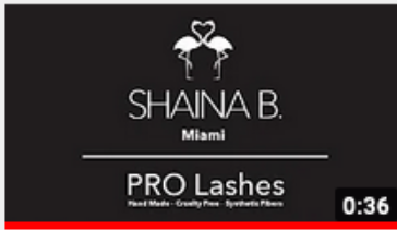 PRO Lashes by Shaina B. Miami