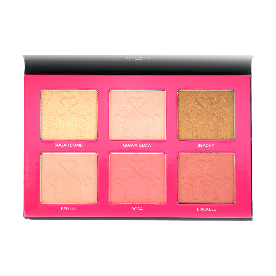 Miami Blush and Highlight Palette